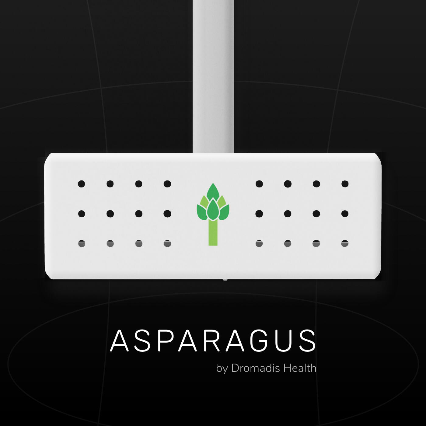 Asparagus preview